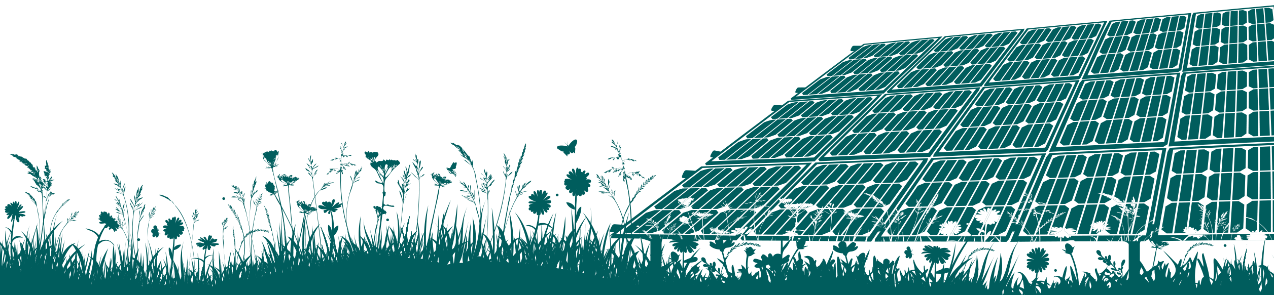 ökologischer Solarpark