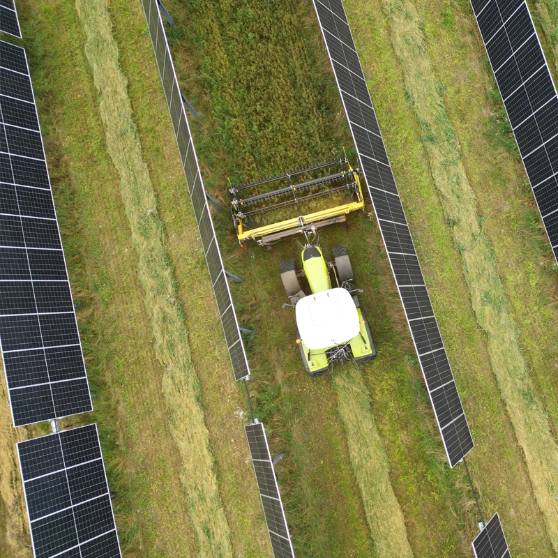 Nachgeführte Solarmodule (Tracking-System) auf dem Agri-PV-Solarpark Freienwill