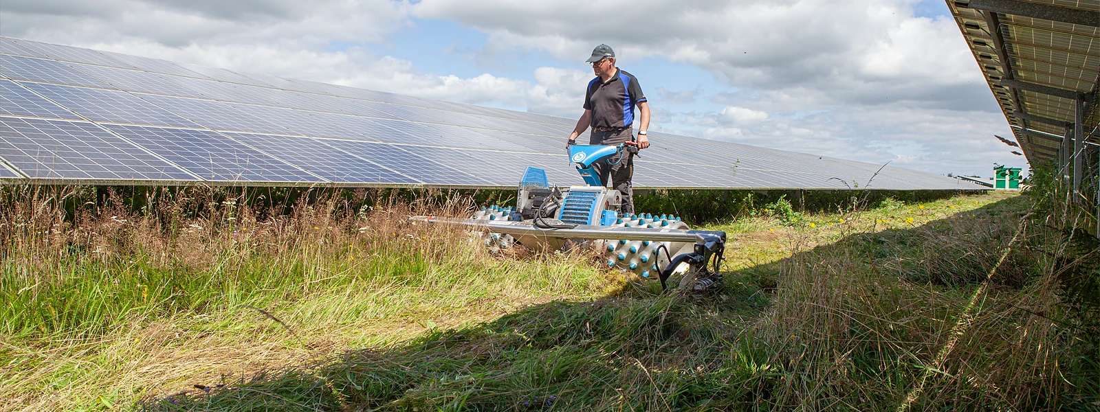 Reihen der Solarmodule auf dem Agri-PV-Solarpark Freienwill