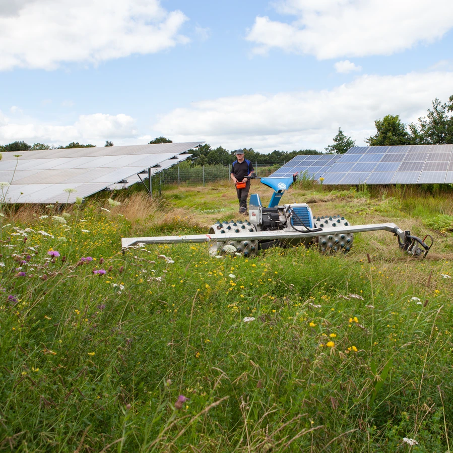 GPS-gesteuerte Landwirtschaft unter den Solarmodulen