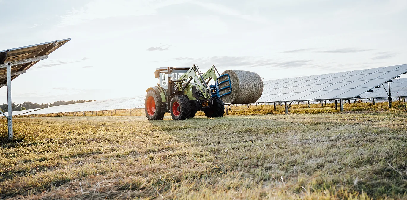 Traktor bei der landwirtschaftlichen Nutzung im Solarpark