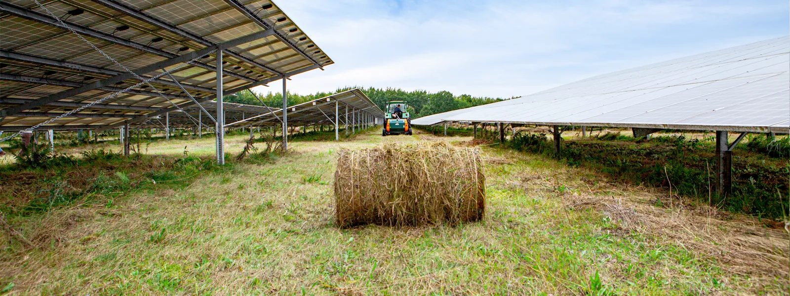 Traktor bei der Pflege der Solarpark-Fläche