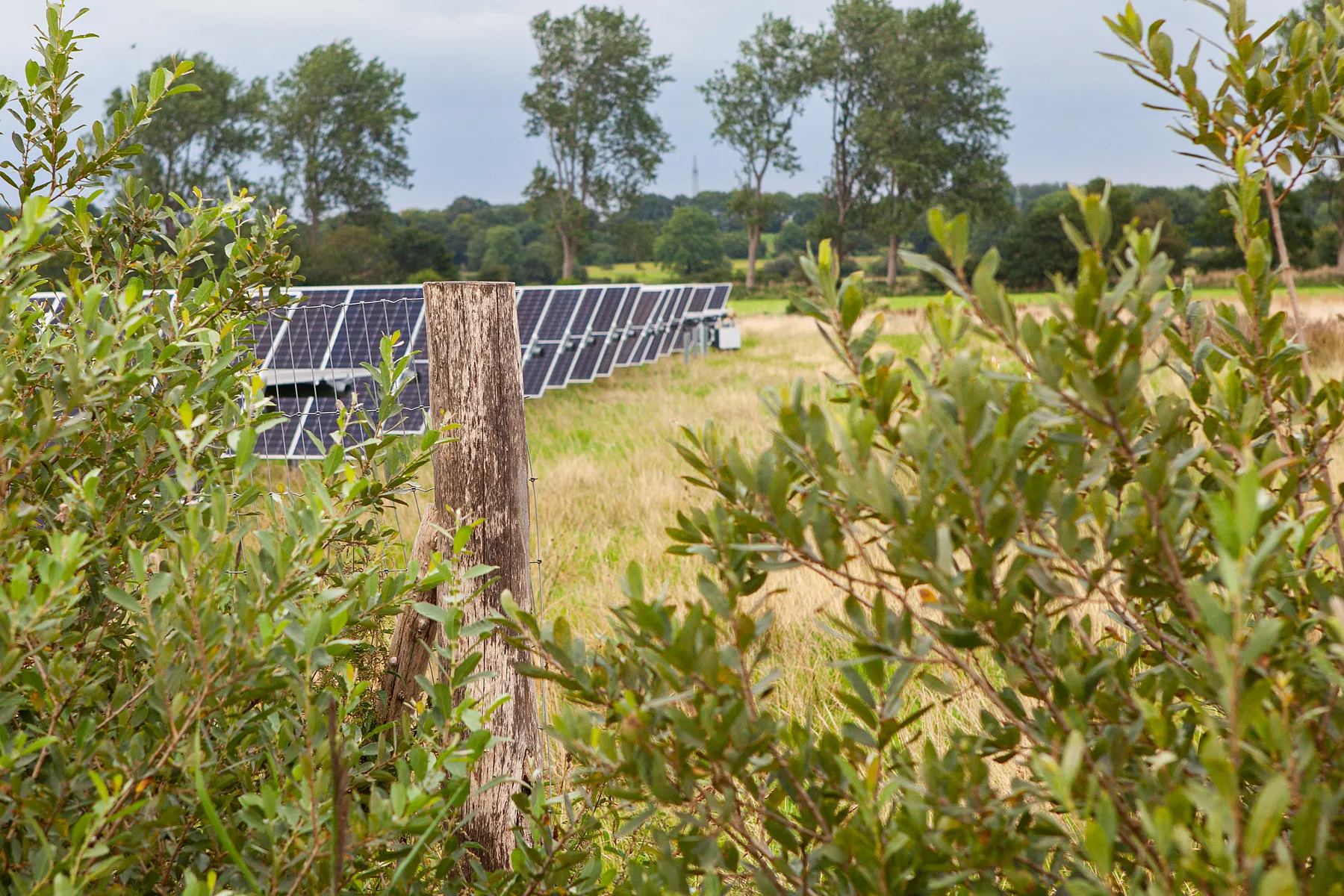 Wildtierdurchlässiger Zaun am Solarpark